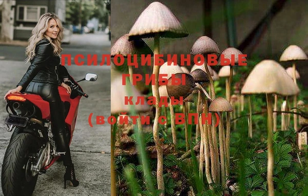 mdpv Балабаново