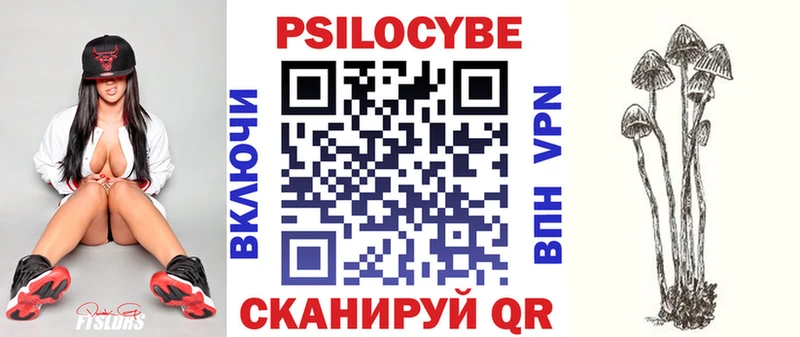 купить наркотик  Питкяранта  Псилоцибиновые грибы GOLDEN TEACHER 